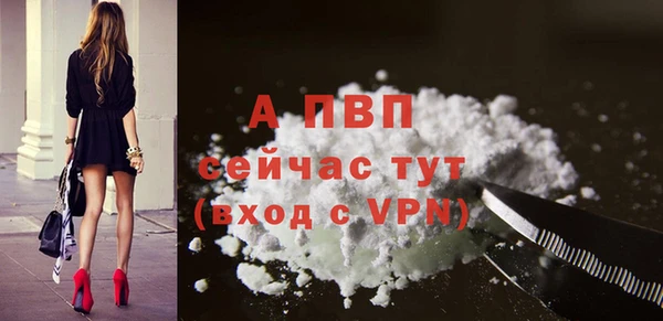 PSILOCYBIN Елизово