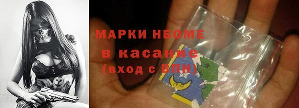 дживик Ельня