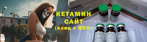 дживик Ельня
