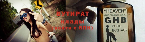 дживик Ельня
