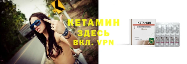 дживик Ельня