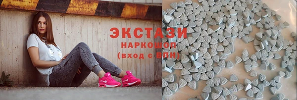 дживик Ельня